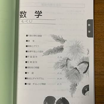 ★MIプロフ読んで下さいm(_ _) さま専用【16冊】2024年度中3馬渕教室 ☆MIプロフ読んで下さいm(_ _) さま専用【16冊】2024年度中